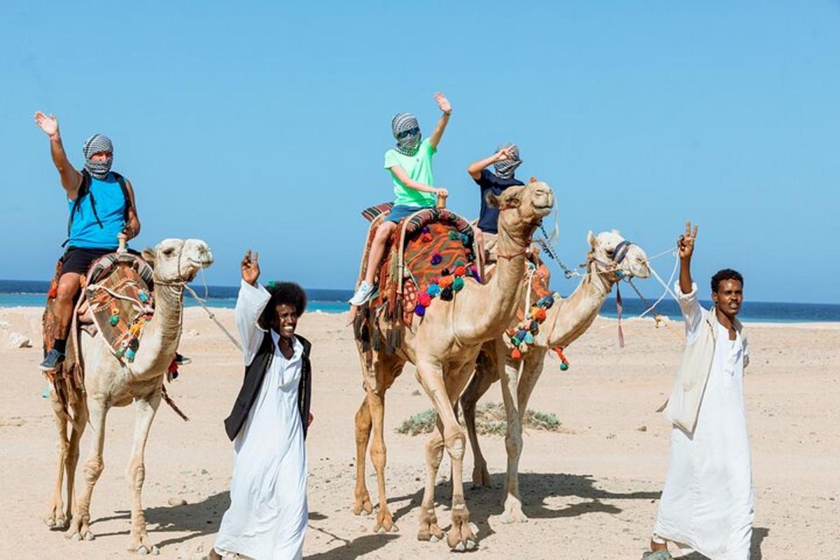 一群人在海滩上骑着骆驼