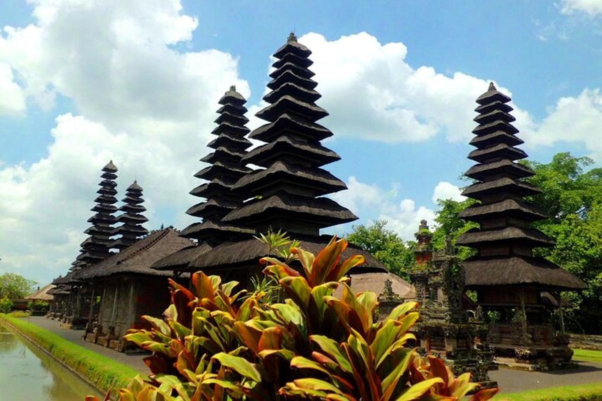 Un grupo de edificios de pagoda con plantas en primer plano.