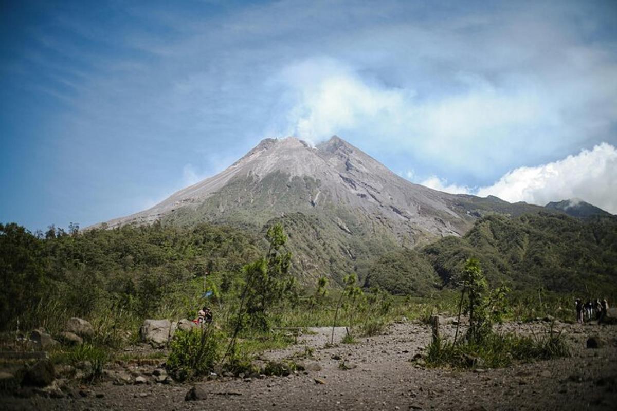 gunung di tengah-tengah hutan