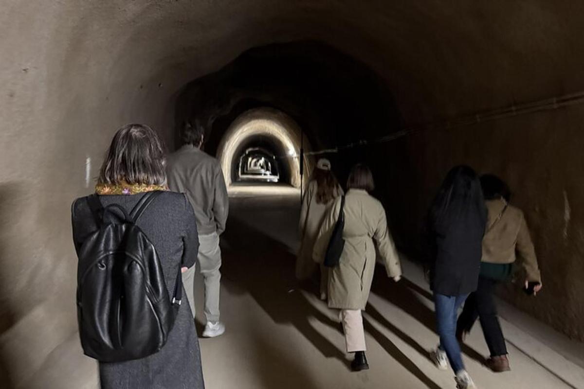 grupp inimesi, kes kõnnivad metroo tunnelisse