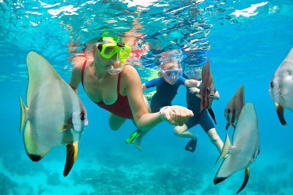 a woman and a child swimming in the water with stingrays