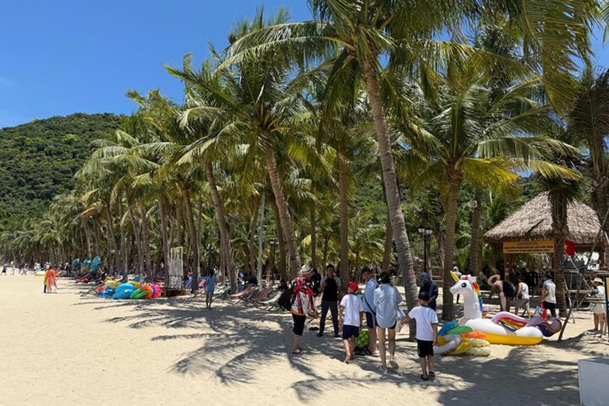 sekumpulan orang berjalan di pantai dengan pokok palma
