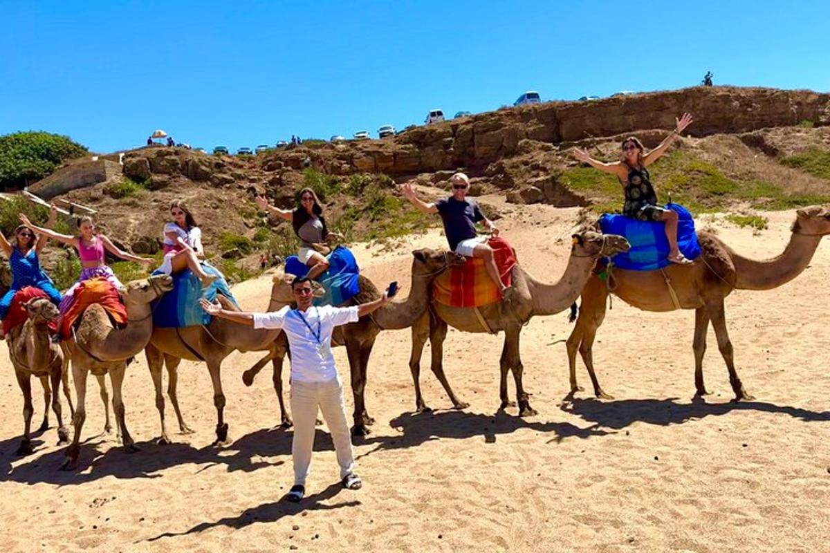 a group of people riding on camels on the beach