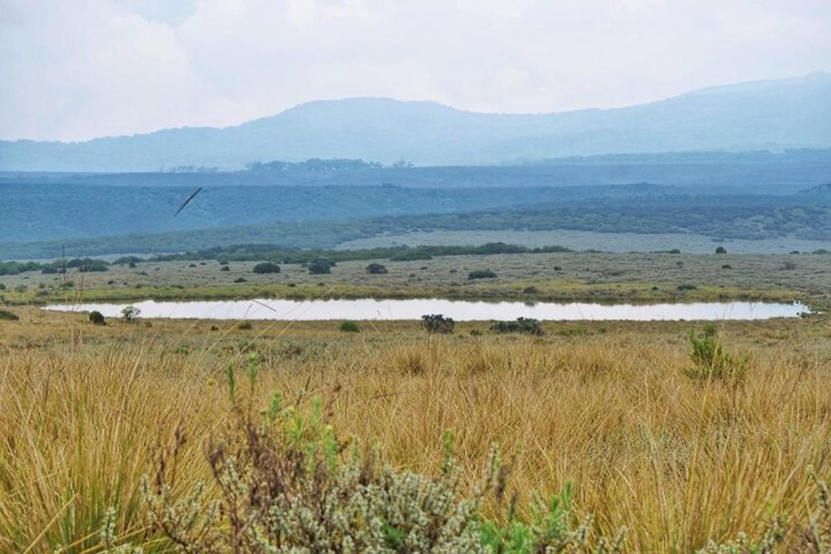 a field of grass with a river in the distance