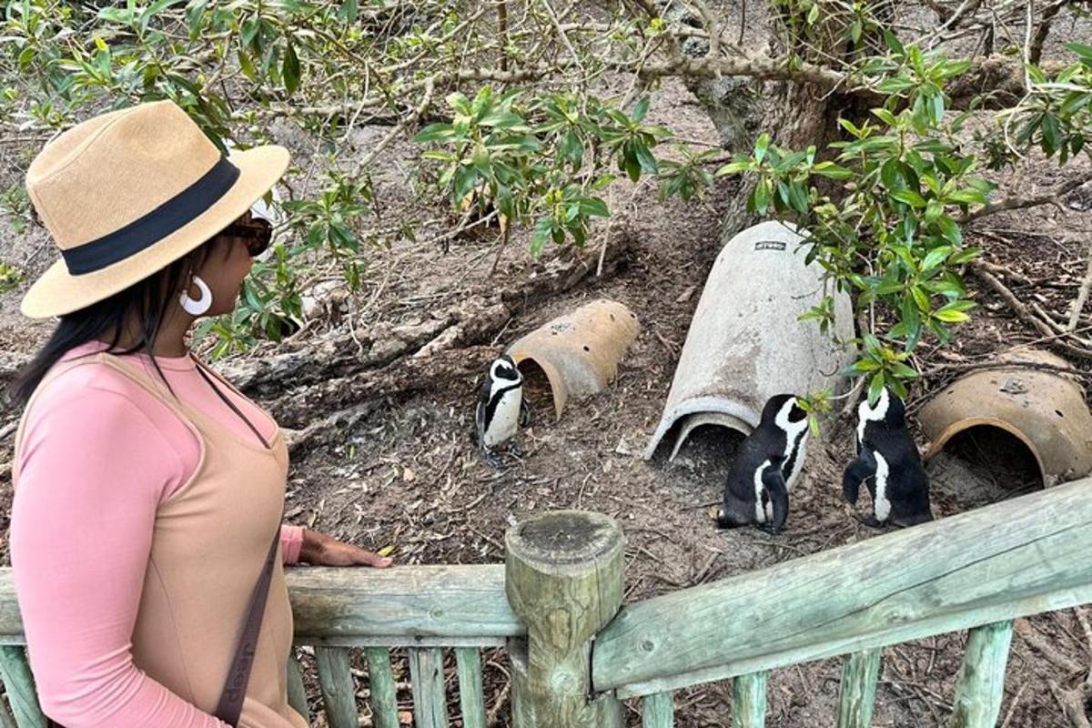 en kvinne i hatt som ser på pandaer i en dyrehage