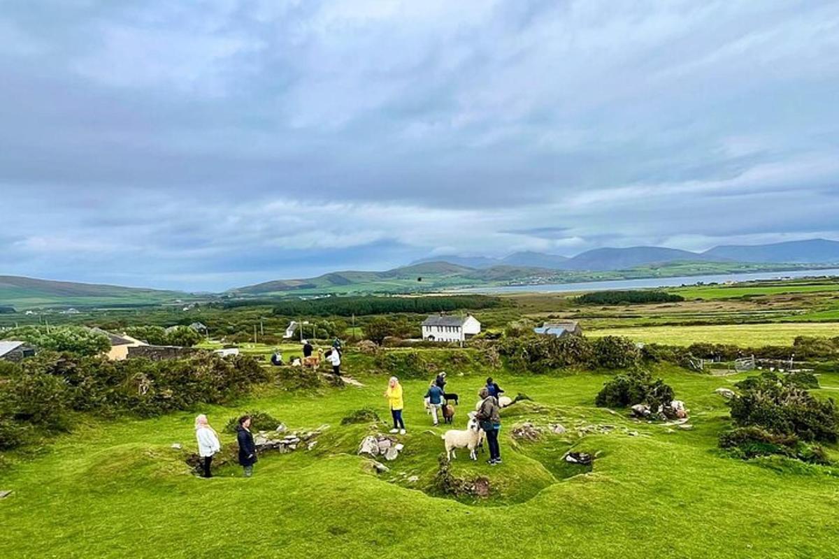 a group of people standing in a field with animals