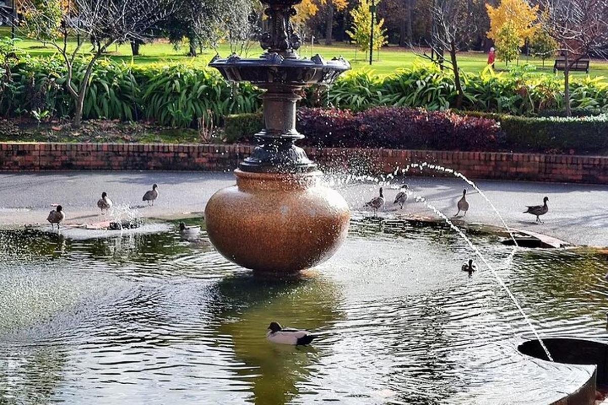 una font amb ànecs nedant en un estany