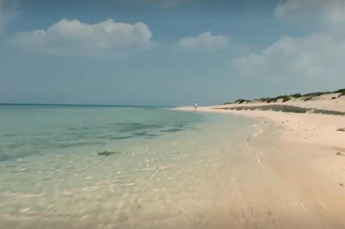 a view of a beach with a person in the water