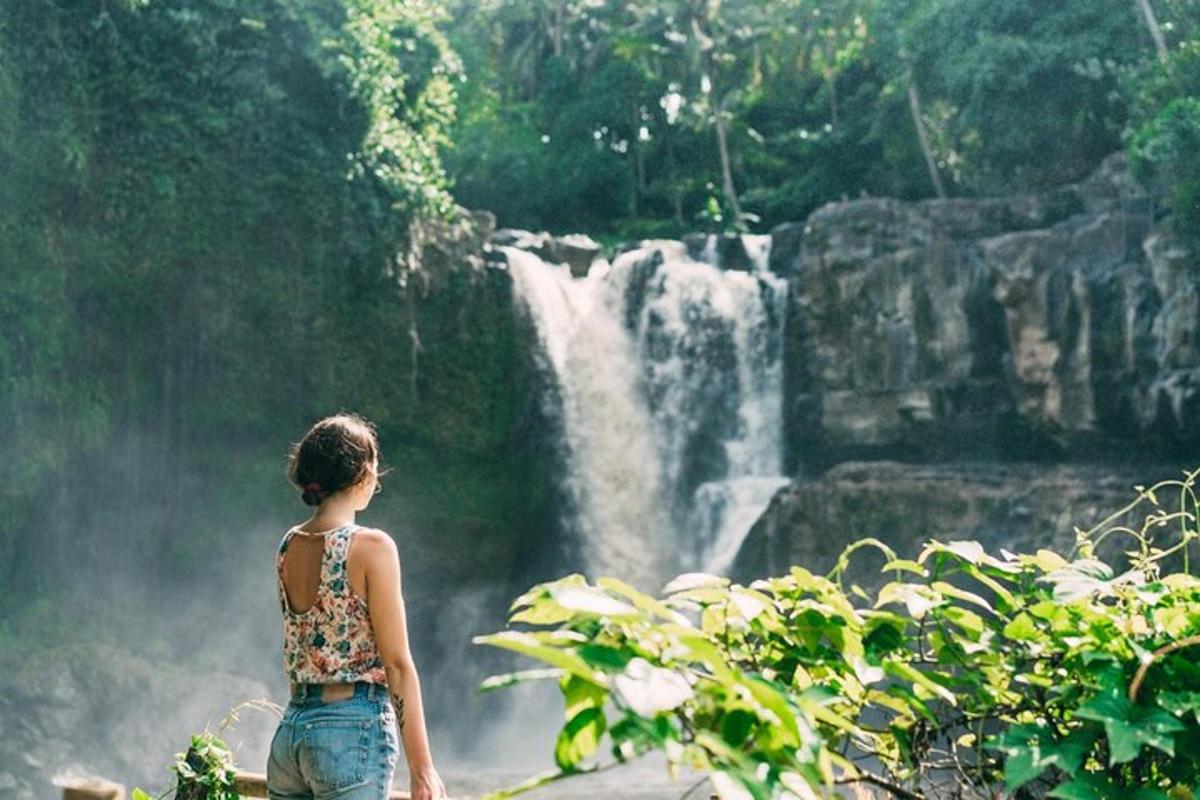 seorang wanita berdiri di hadapan air terjun
