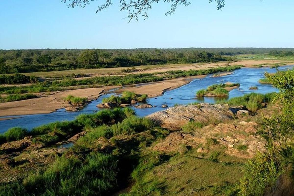 una vista aerea di un fiume in un campo