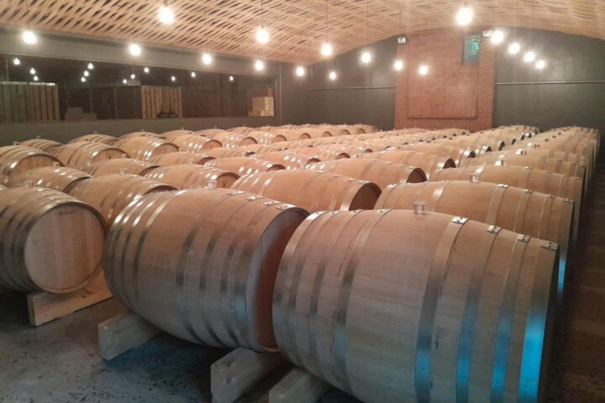 a row of wine barrels in a large room
