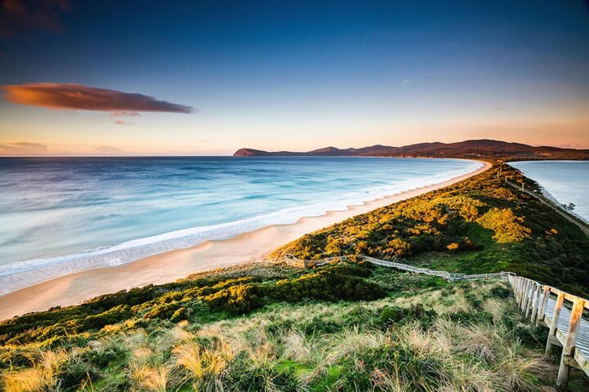uma vista de uma praia com uma cerca branca