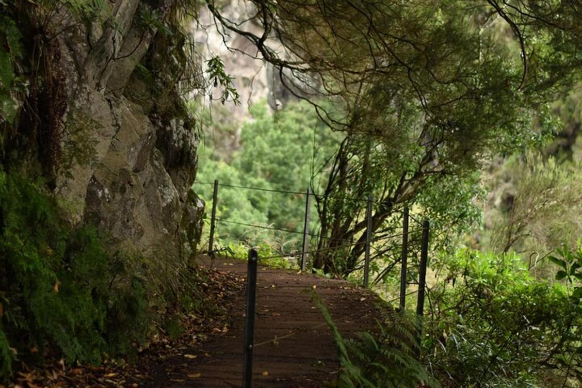 a wooden path with a fence on a mountain