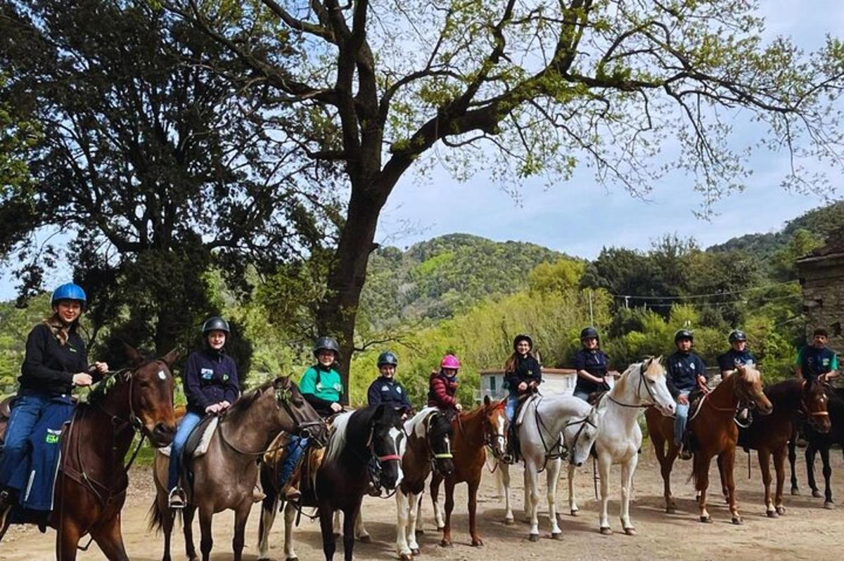un grupo de personas a caballo en fila