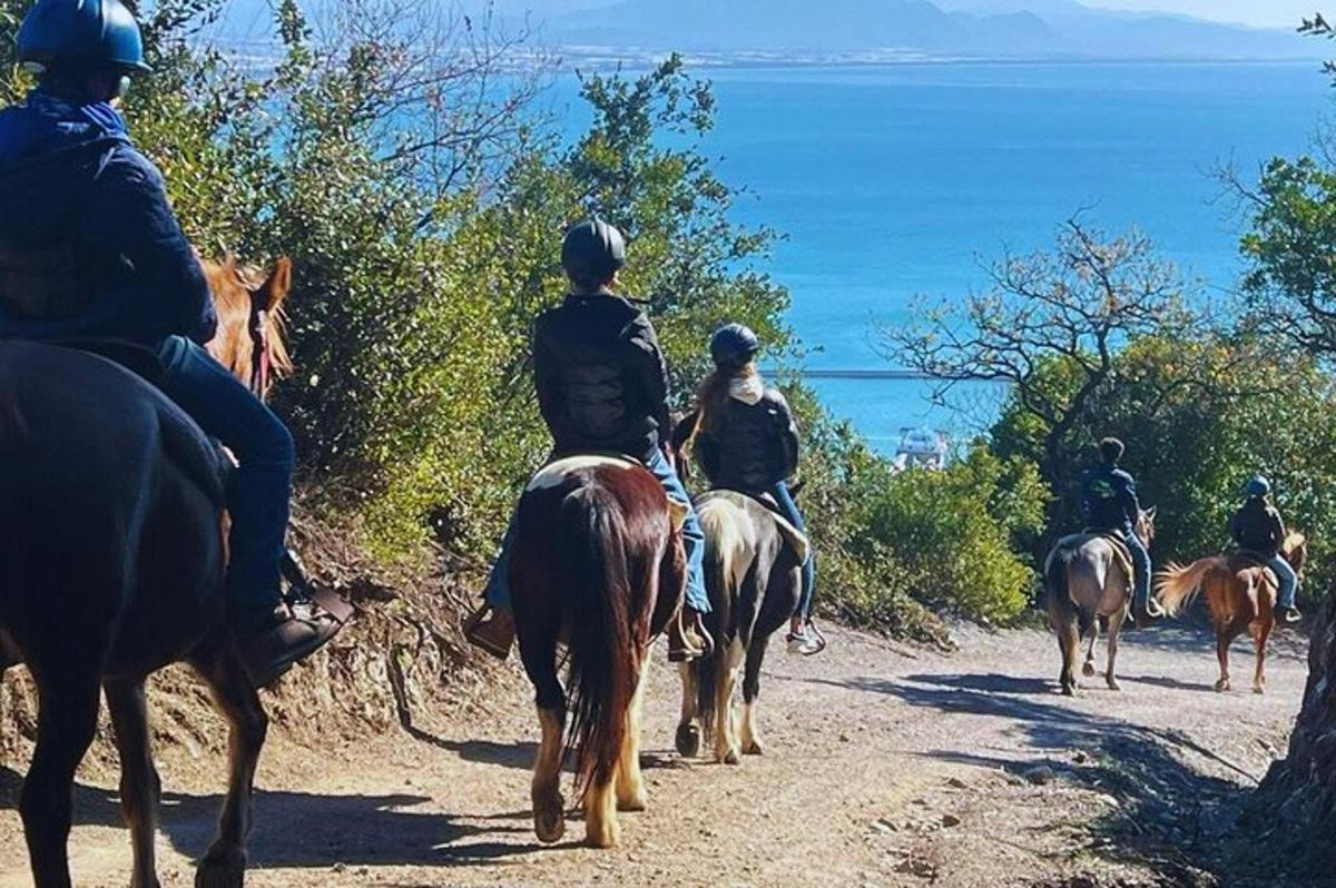 μια ομάδα ανθρώπων που ιππεύουν άλογα σε έναν χωματόδρομο