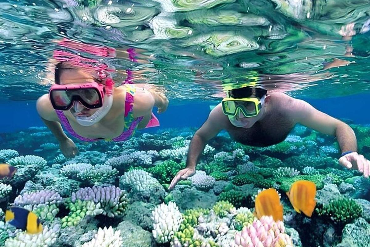 two people swimming over a coral reef