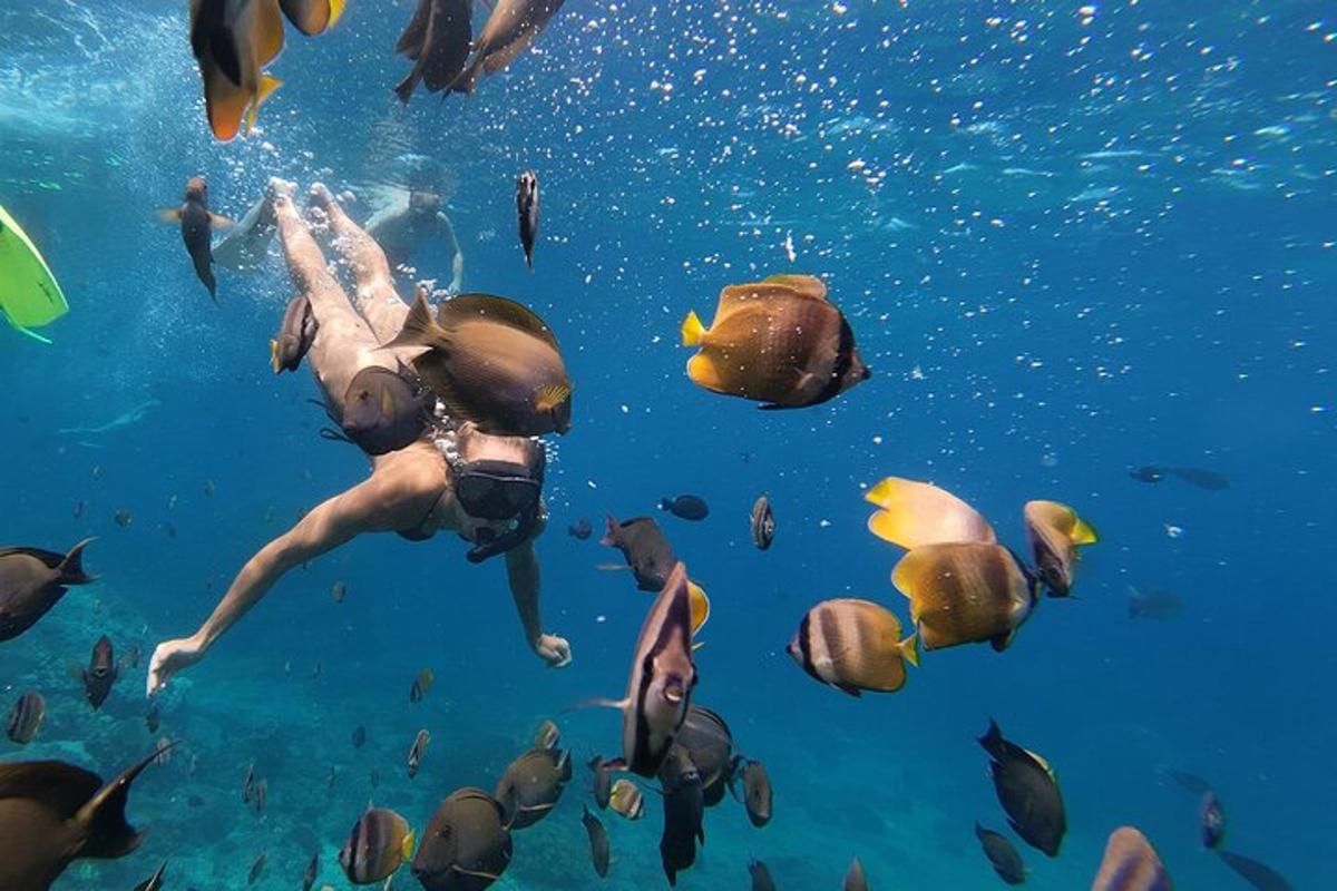 a woman is swimming in the water with fish