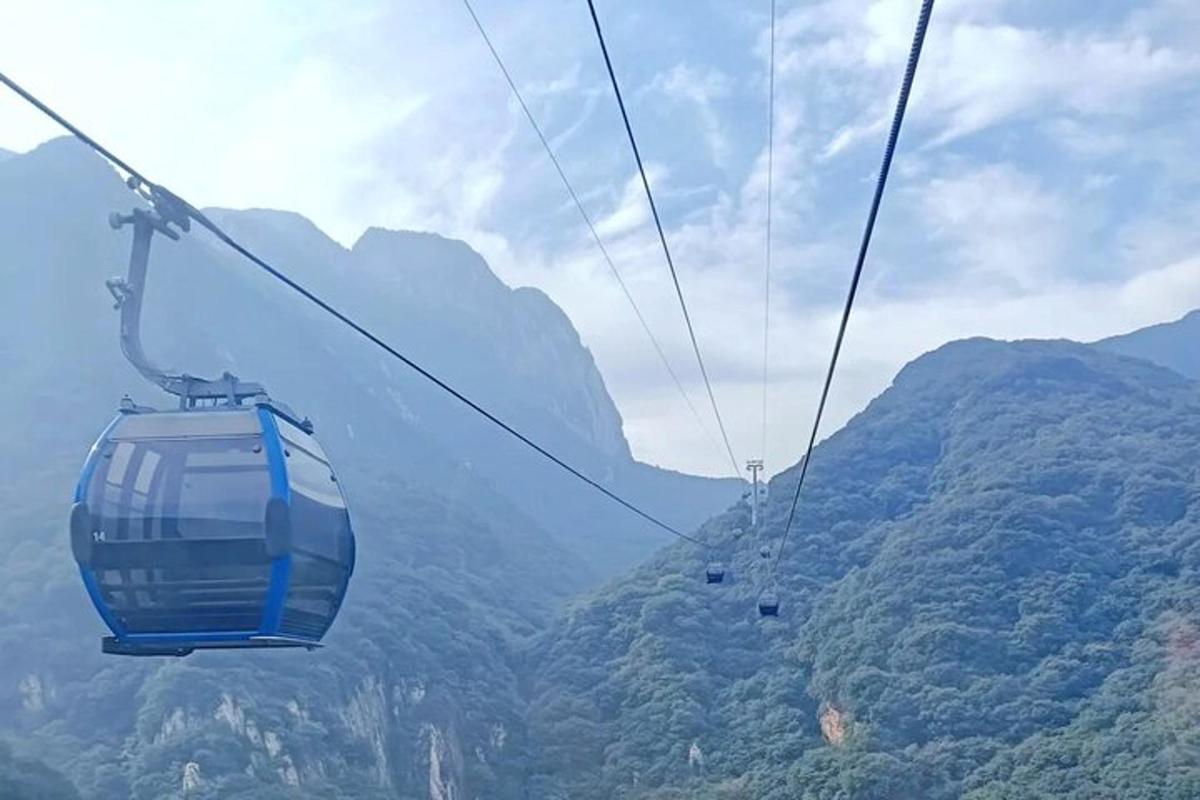 egy gondola repül egy fákkal teli hegy felett