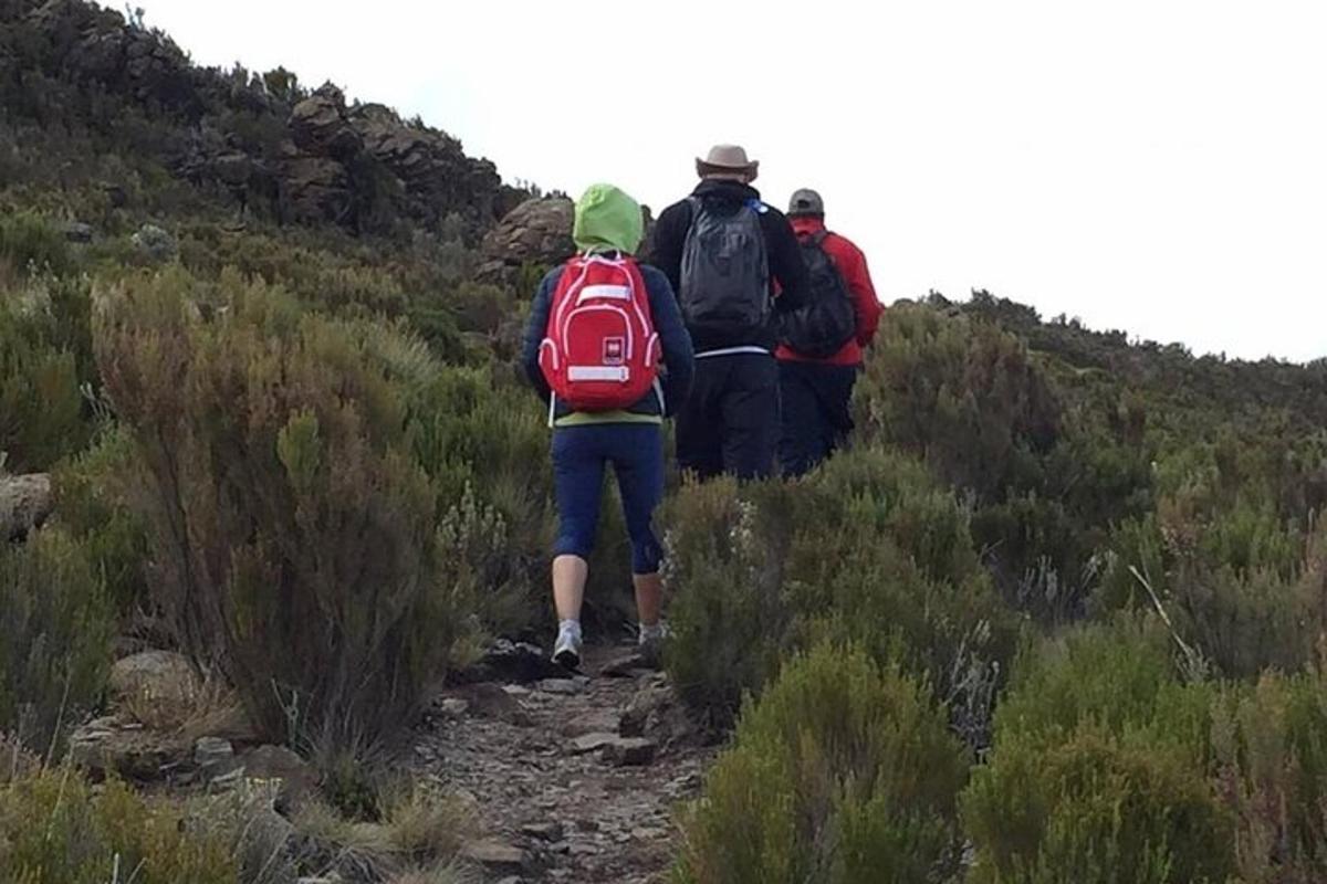 un grup de persones caminant per un sender