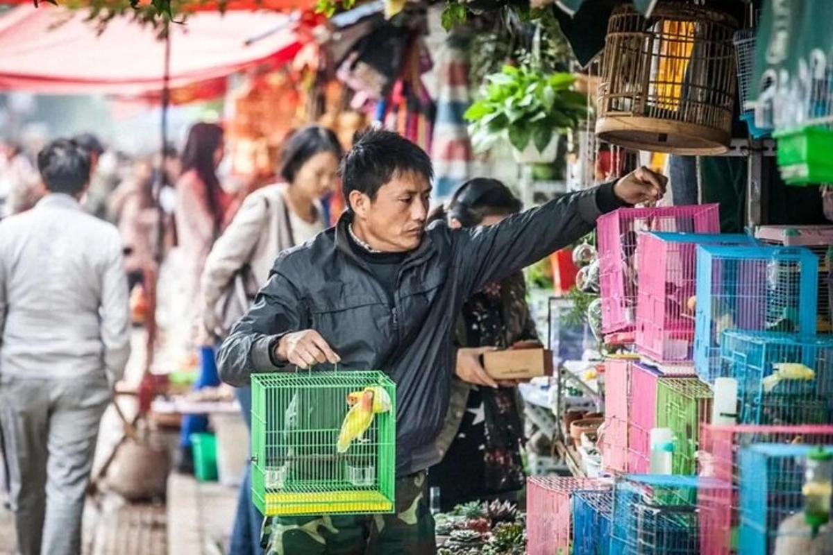 市场里，一名男子在笼子里抱着一只鸟