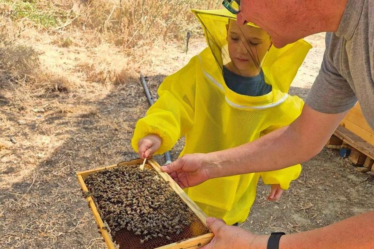 Un hombre y una mujer con un contenedor de abejas