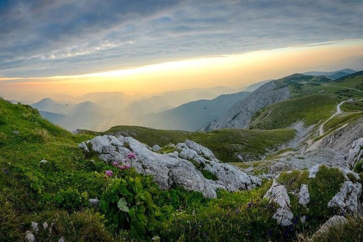 una vista di una montagna con rocce e fiori