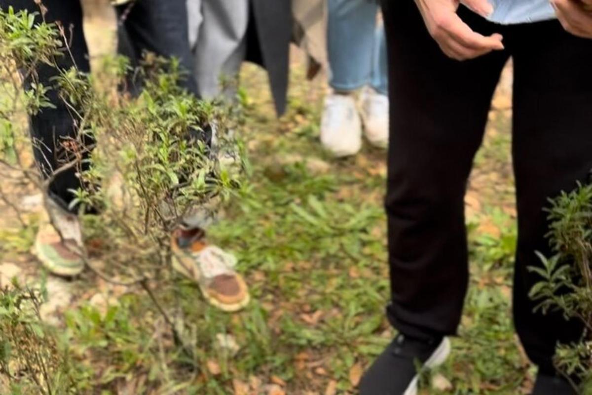 un groupe de personnes debout dans l'herbe avec leurs chaussures