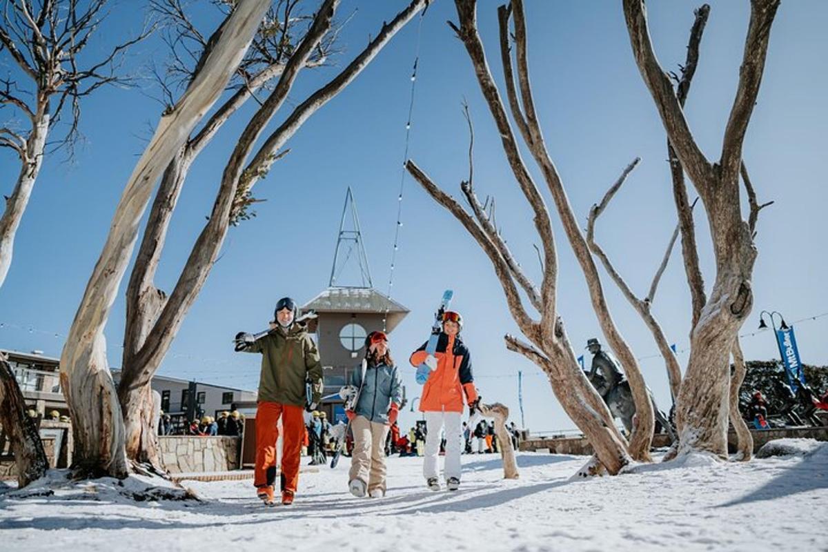 um grupo de pessoas caminhando na neve perto de árvores
