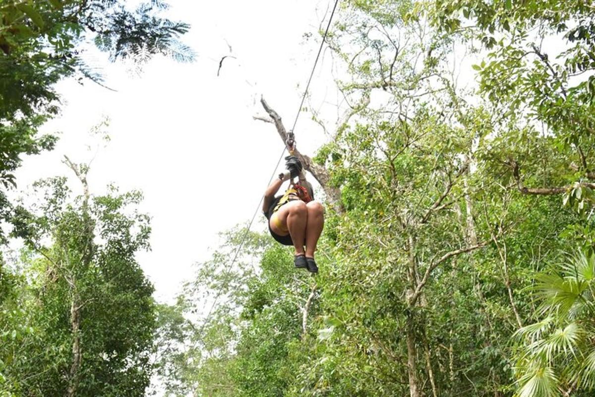 a woman hanging from a tree in the forest