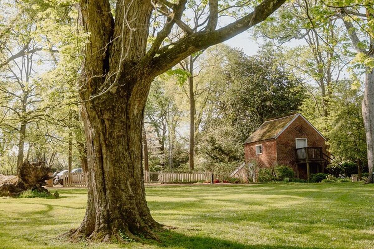 a large tree in front of a house