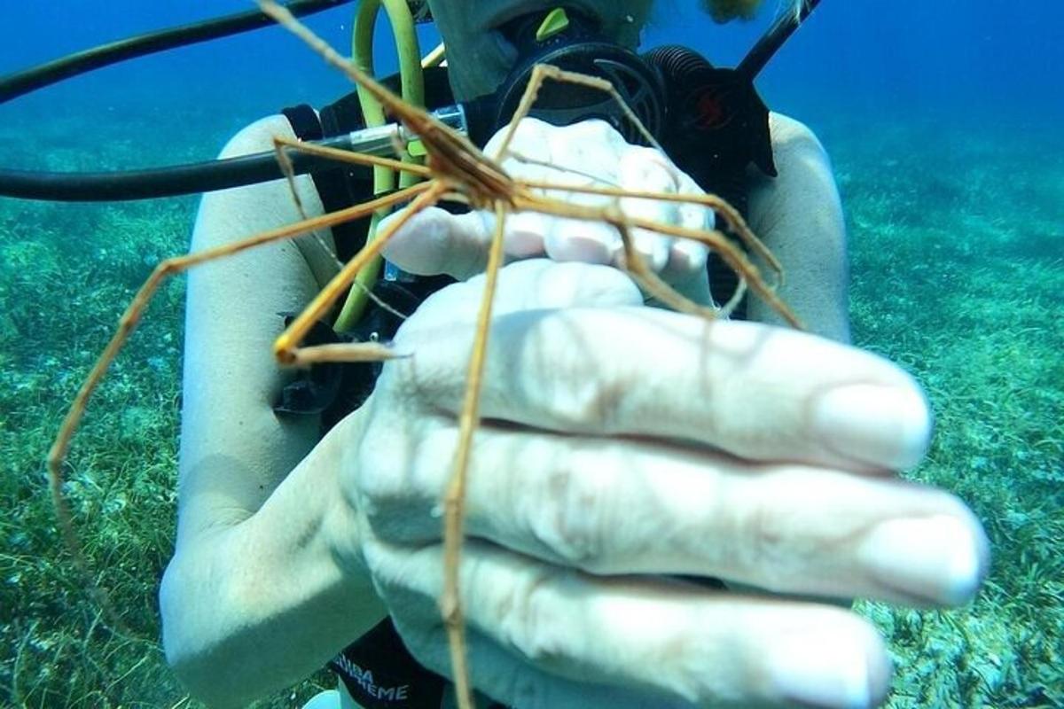 một người đàn ông đang cầm một miếng gỗ trên tay