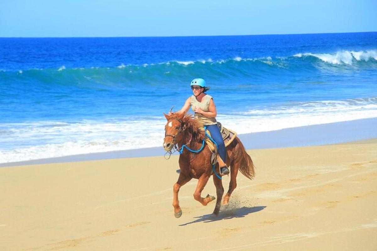 a woman riding a horse on the beach