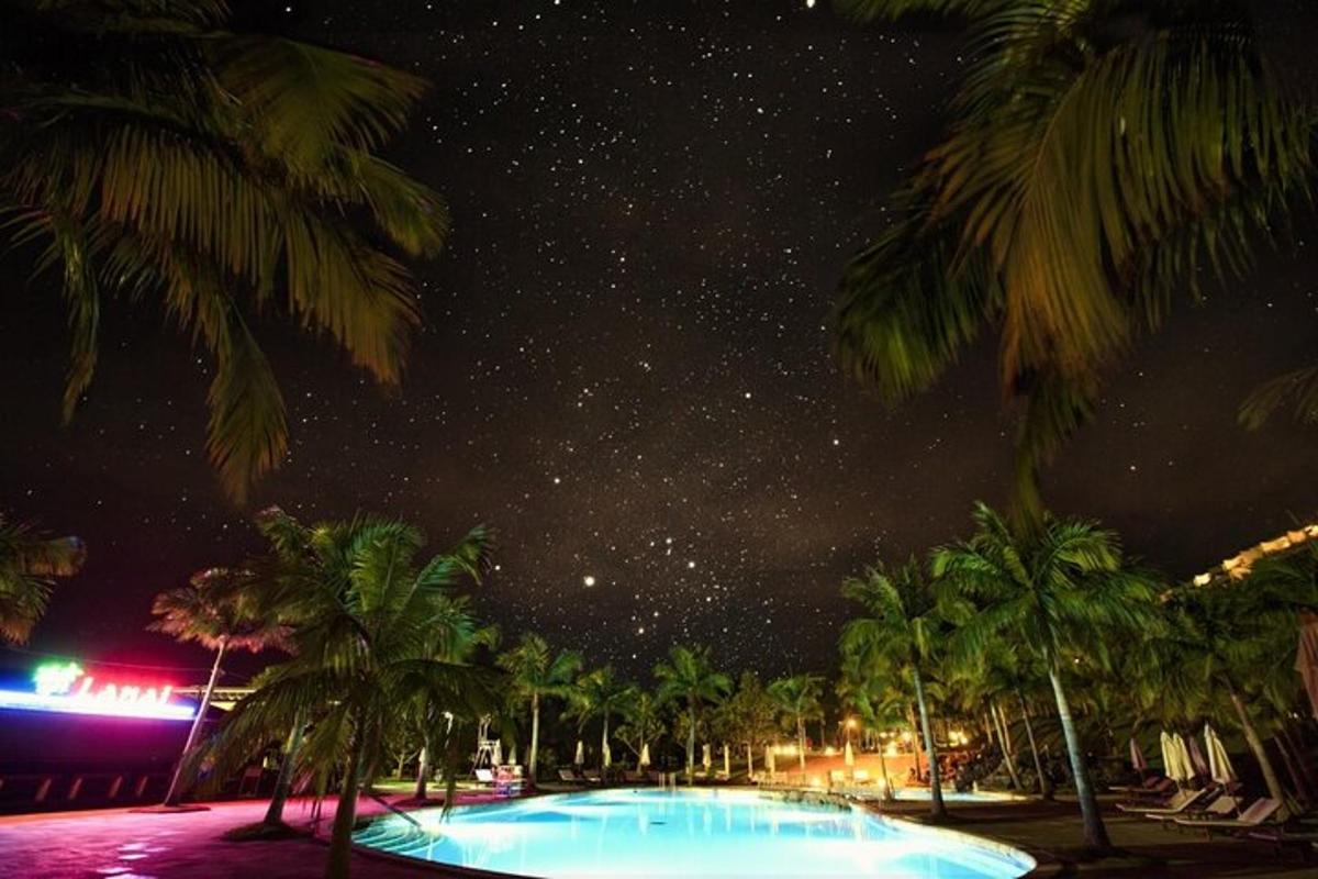 有游泳池和棕榈树的星夜