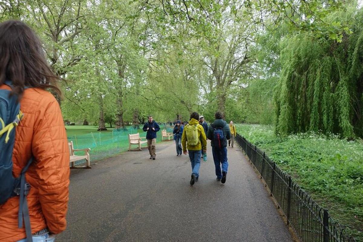 un grupo de personas caminando por un sendero en un parque