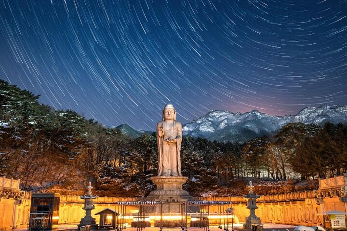 a large statue in a park at night