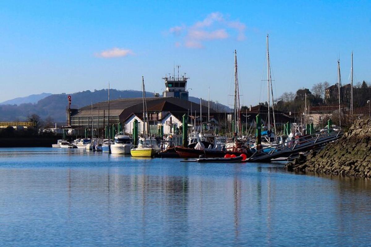 Un grupo de barcos atracados en un puerto deportivo en el agua.