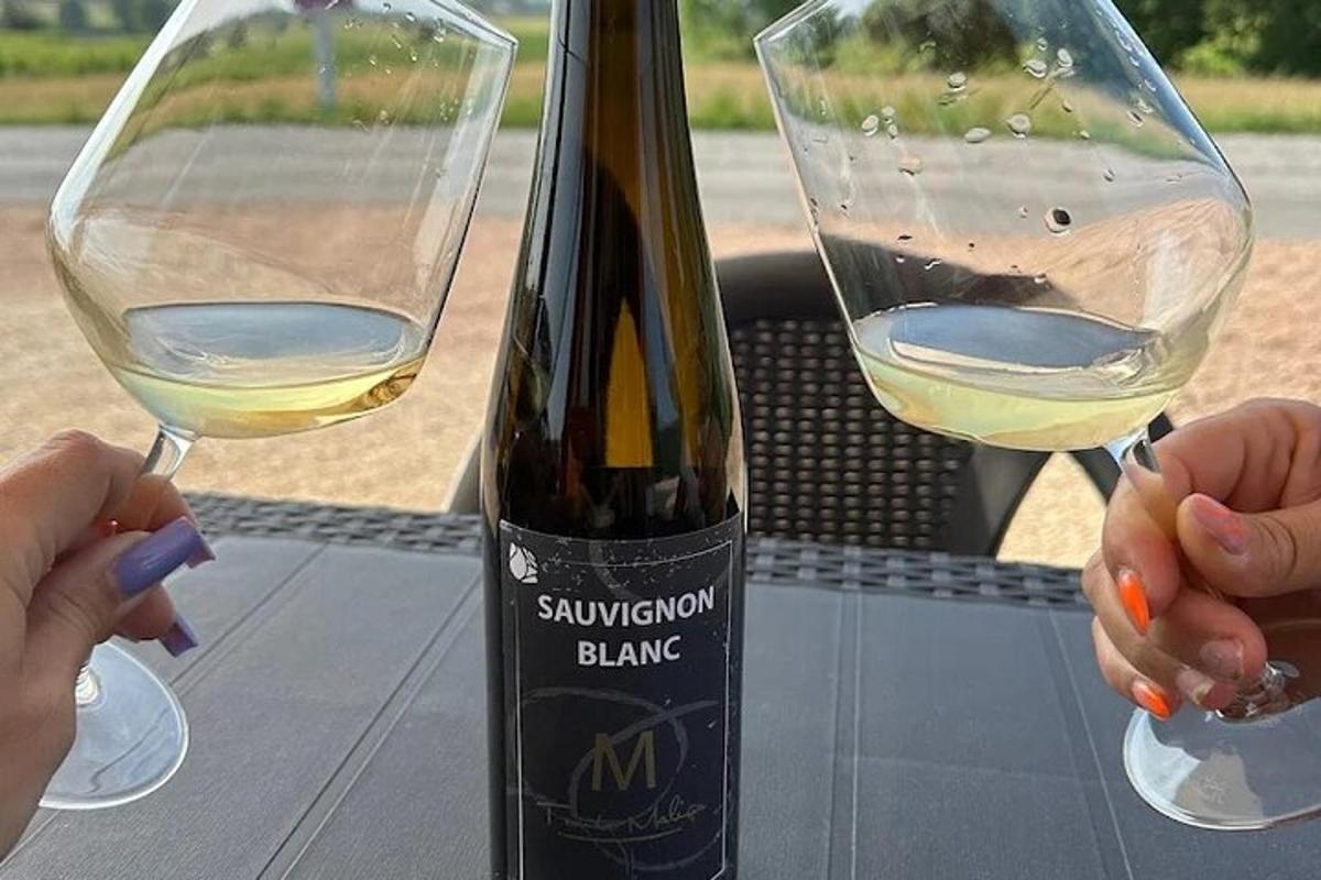 due persone che tengono bicchieri di vino bianco su un tavolo
