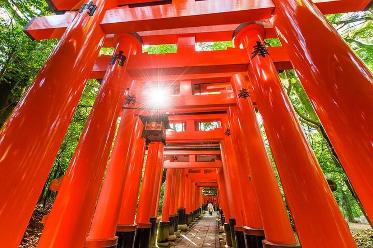 isang pasukan sa isang orange na torii gate sa isang dambana