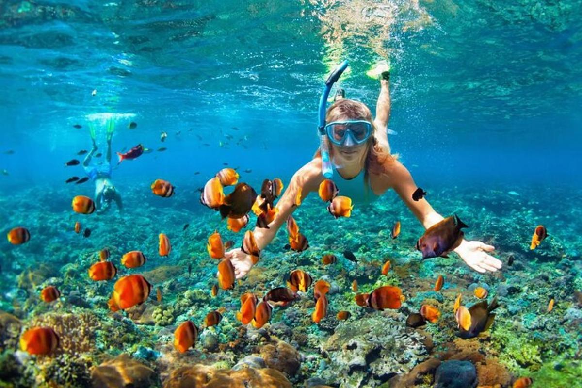 žena plave v oceánu s rybami