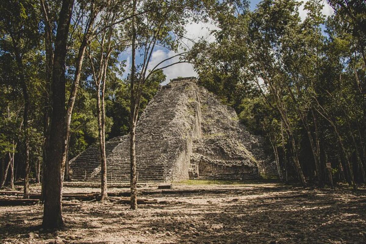 en pyramide midt i en skog av trær