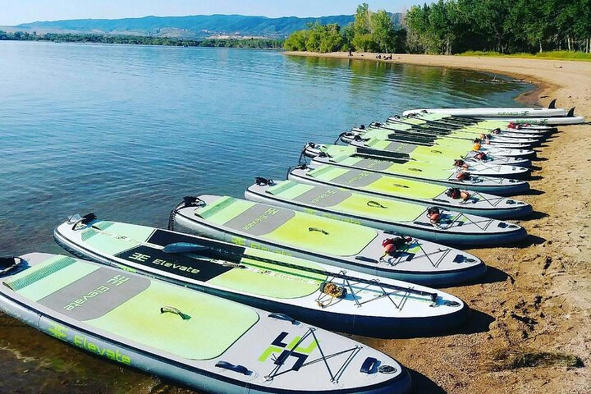una fila di kayak allineati sulla spiaggia
