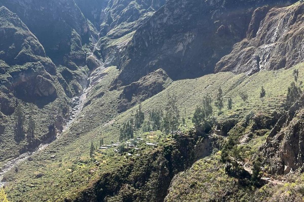 una vista di una valle in una montagna con alberi