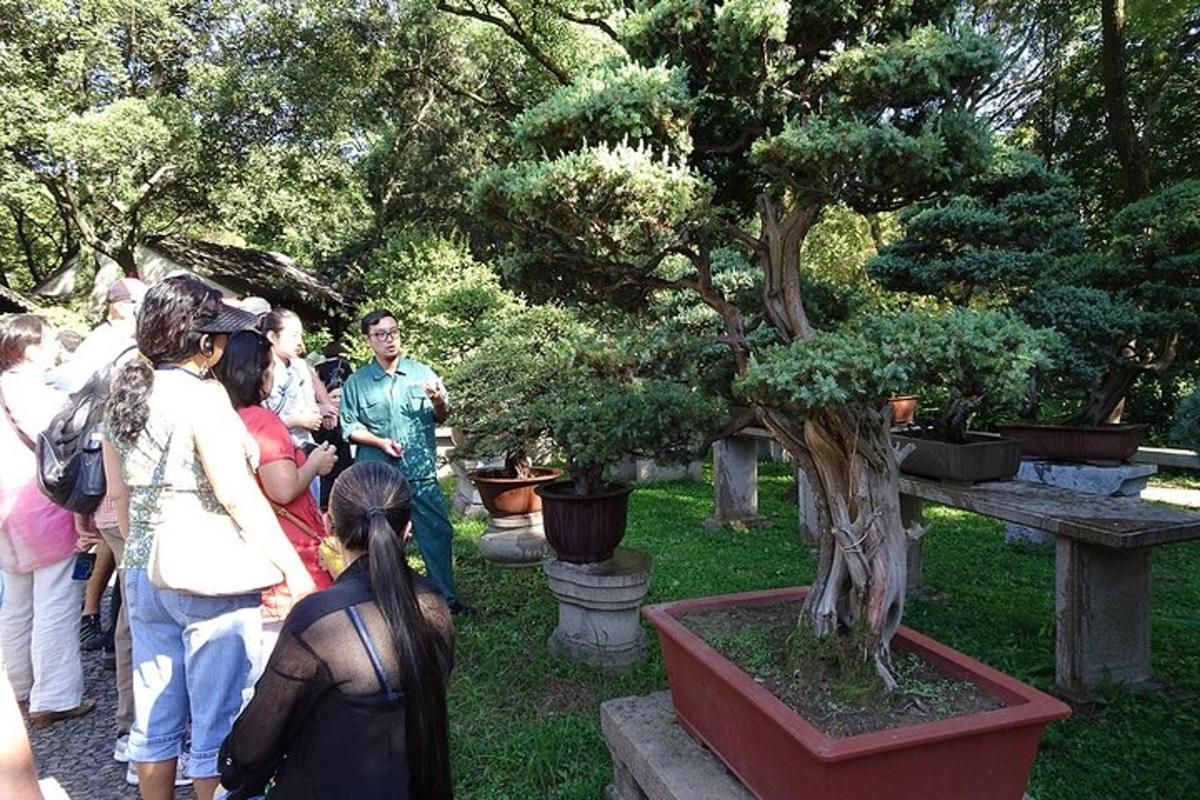 a group of people standing around a bonsai tree