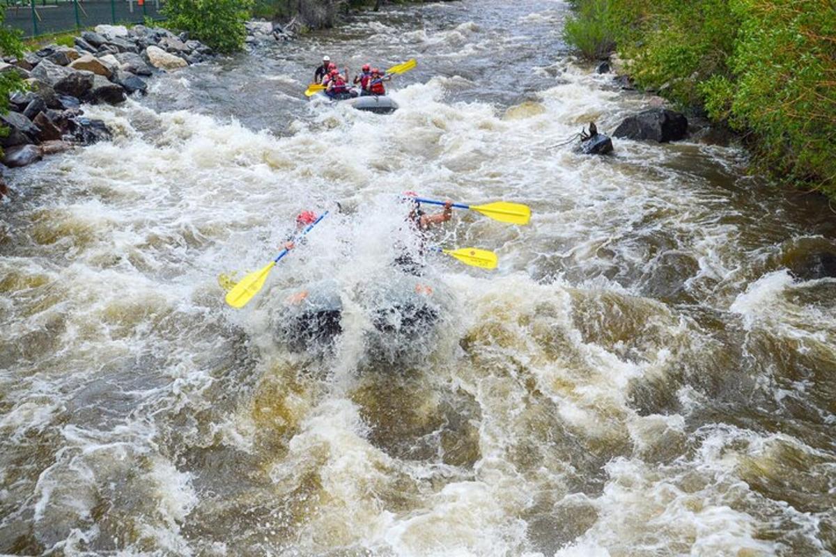 un grupo de personas en kayaks en un río