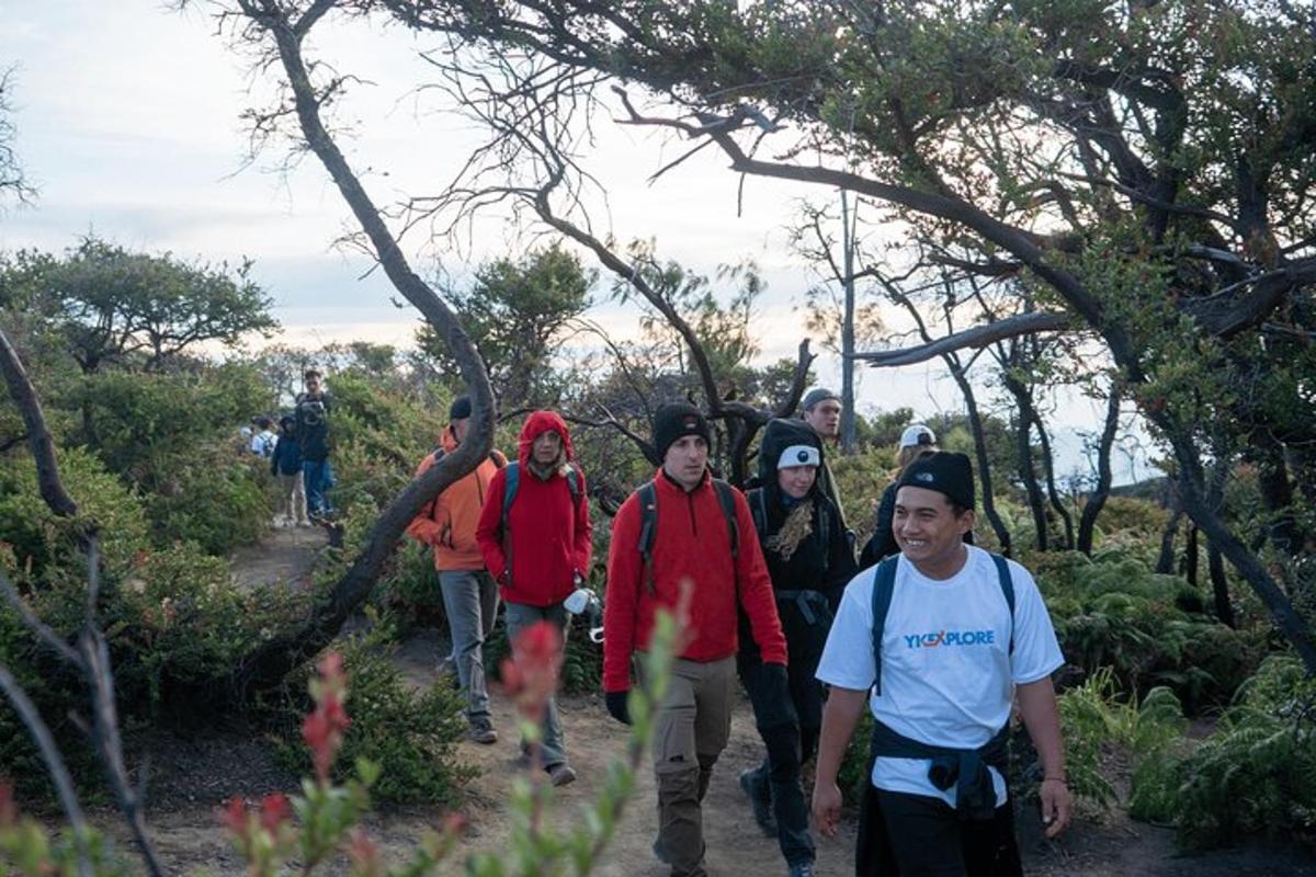 un grupo de personas caminando por un sendero