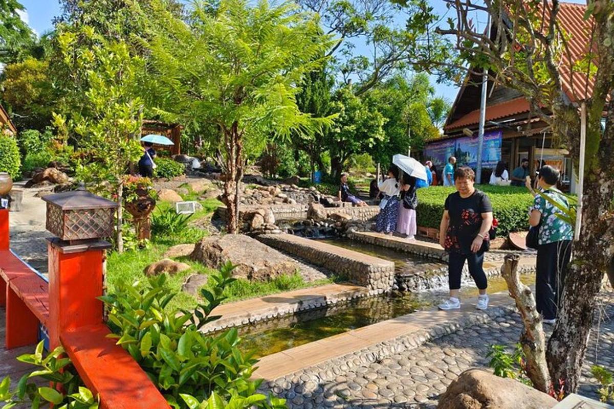 isang grupo ng mga tao na nakatayo sa paligid ng isang lawa sa isang parke