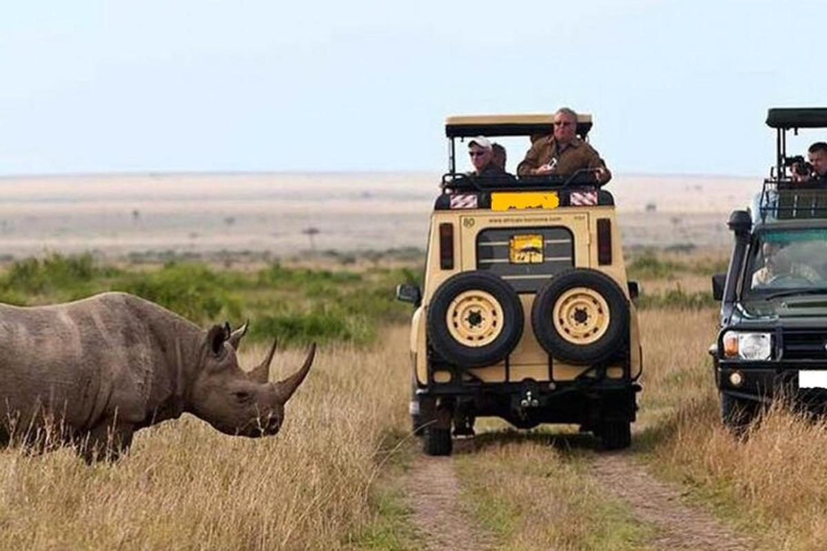 en safari-jeep med et næsehorn stående ved siden af et næsehorn