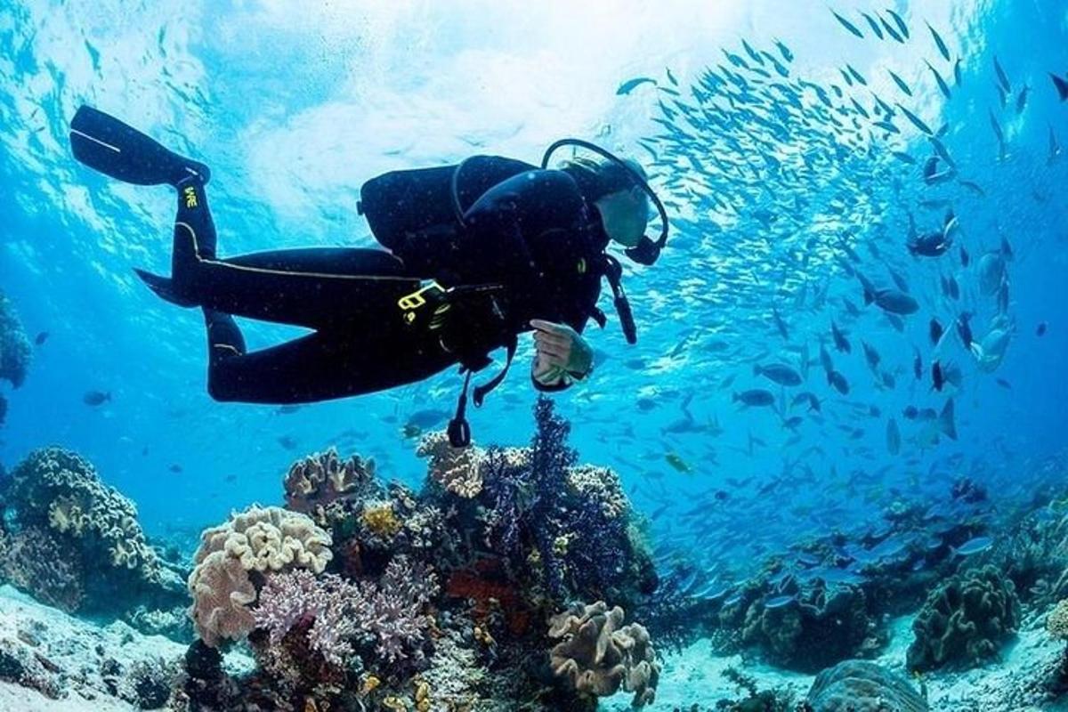 a person is swimming over a coral reef