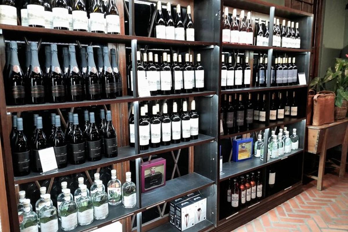 un raft plin cu o mulțime de sticle de vin