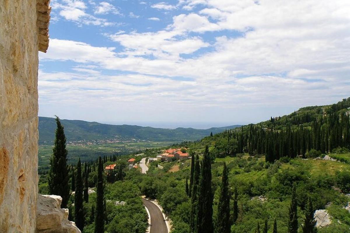uma vista de uma estrada em um vale com árvores